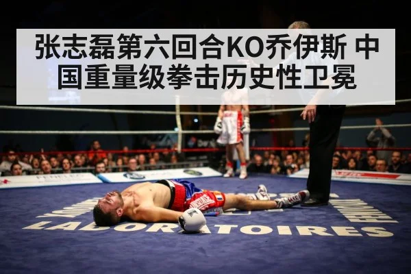 boxing knockout - jiuyou game