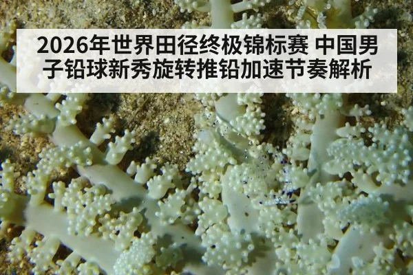 2026年世界田径终极锦标赛 中国男子铅球新秀旋转推铅加速节奏解析